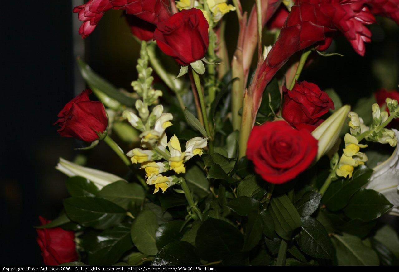 Romantic Blooms
