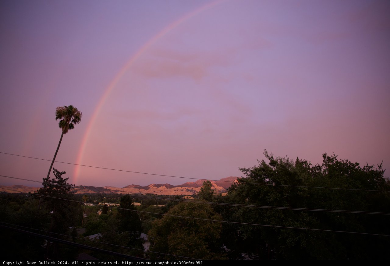 A Rainbow Welcome