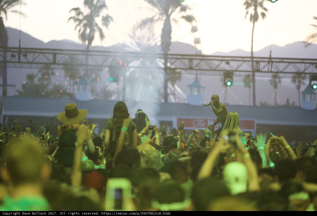 Concert Vibes Amongst Palm Trees