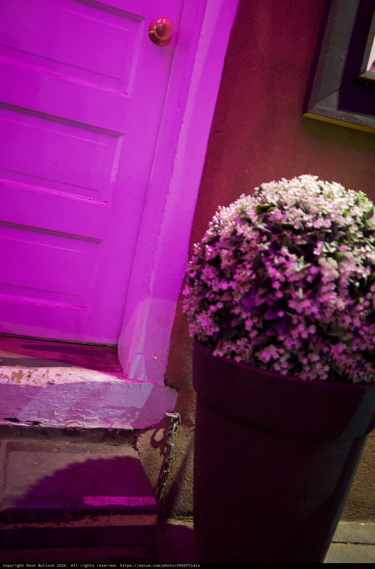 Vibrant Purple Door with Flowering Basket in Santa Fe