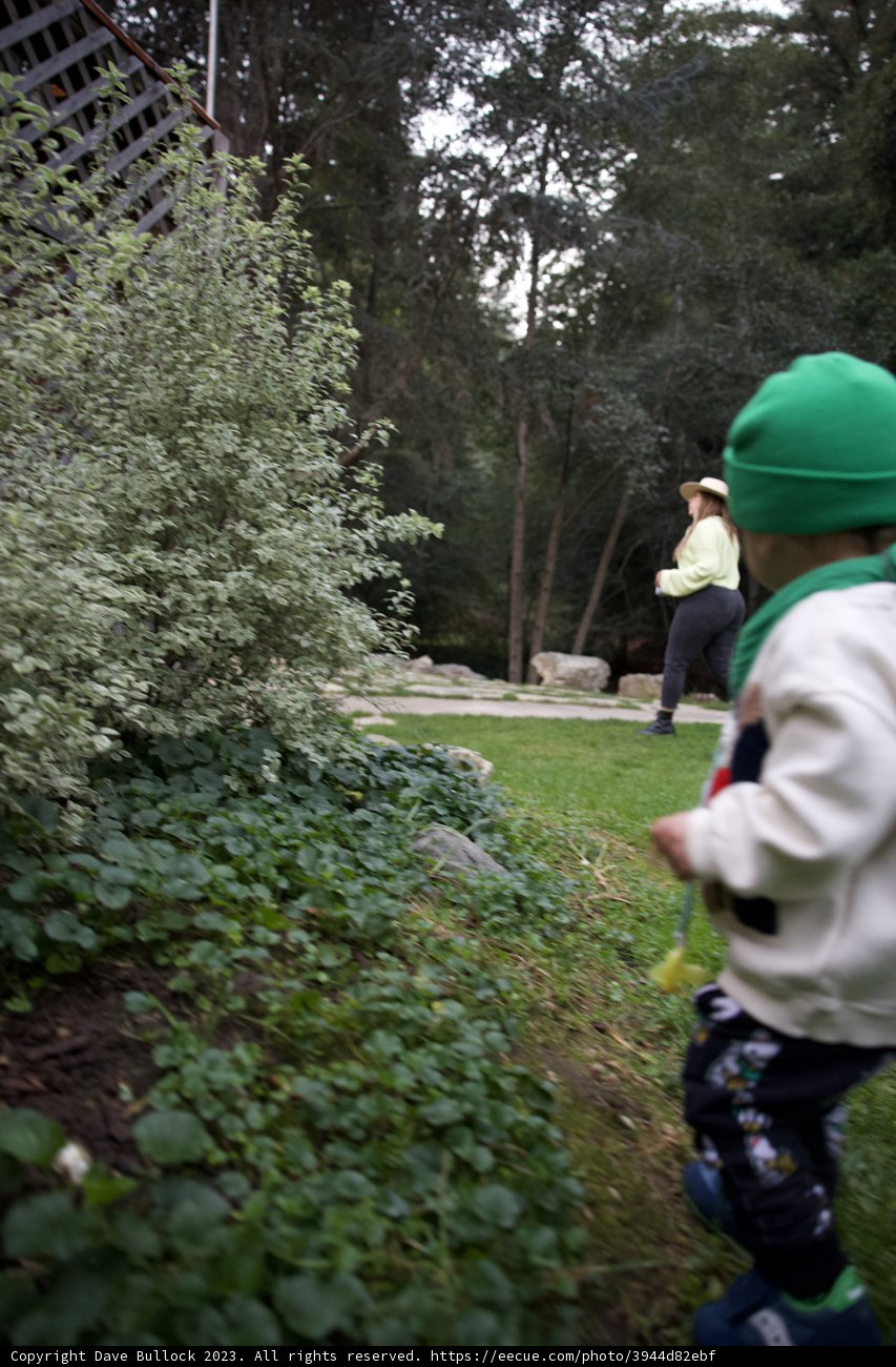 Wesley's Frisbee Frolic in Big Sur