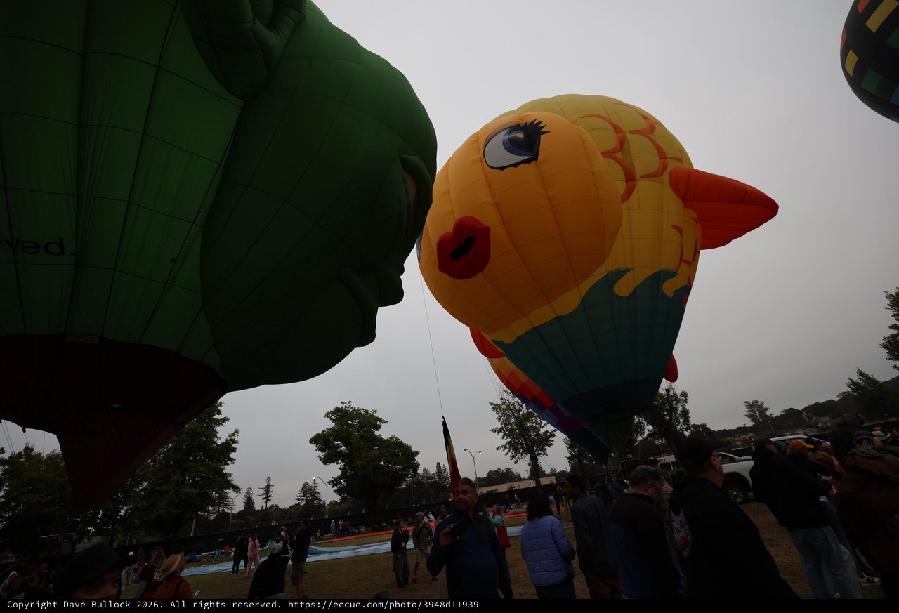 Giant Fish and Green Giant Kiss at Balloon Festival