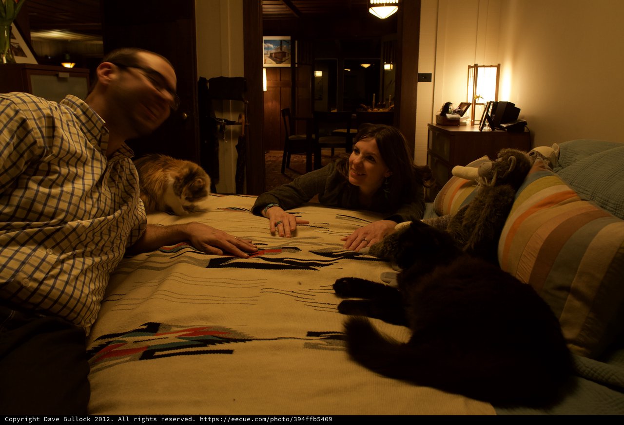 Couple and Cats Relaxing on Bed at Night