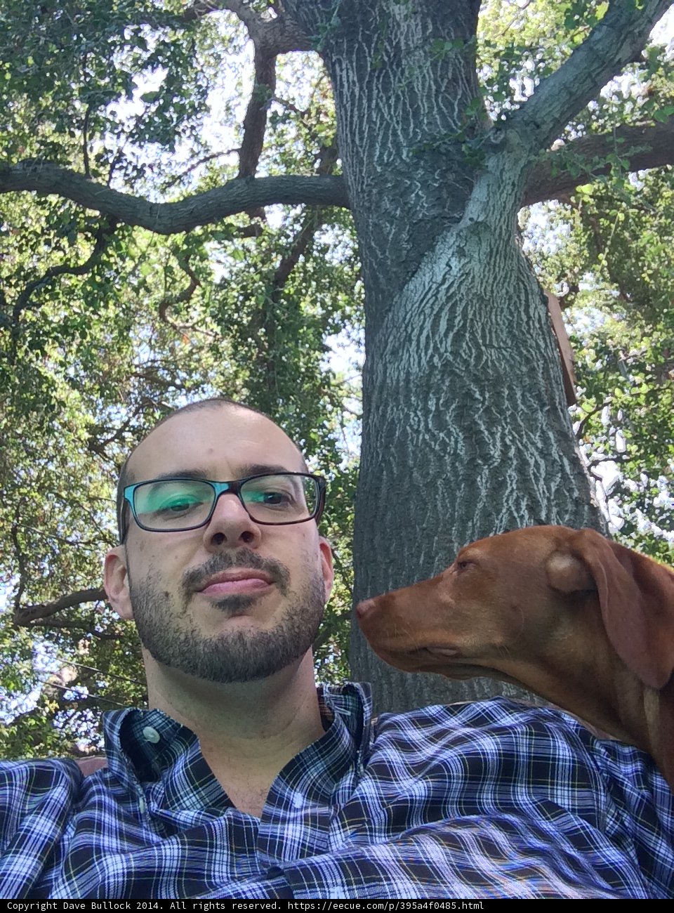 Dave B and his loyal companion enjoying nature