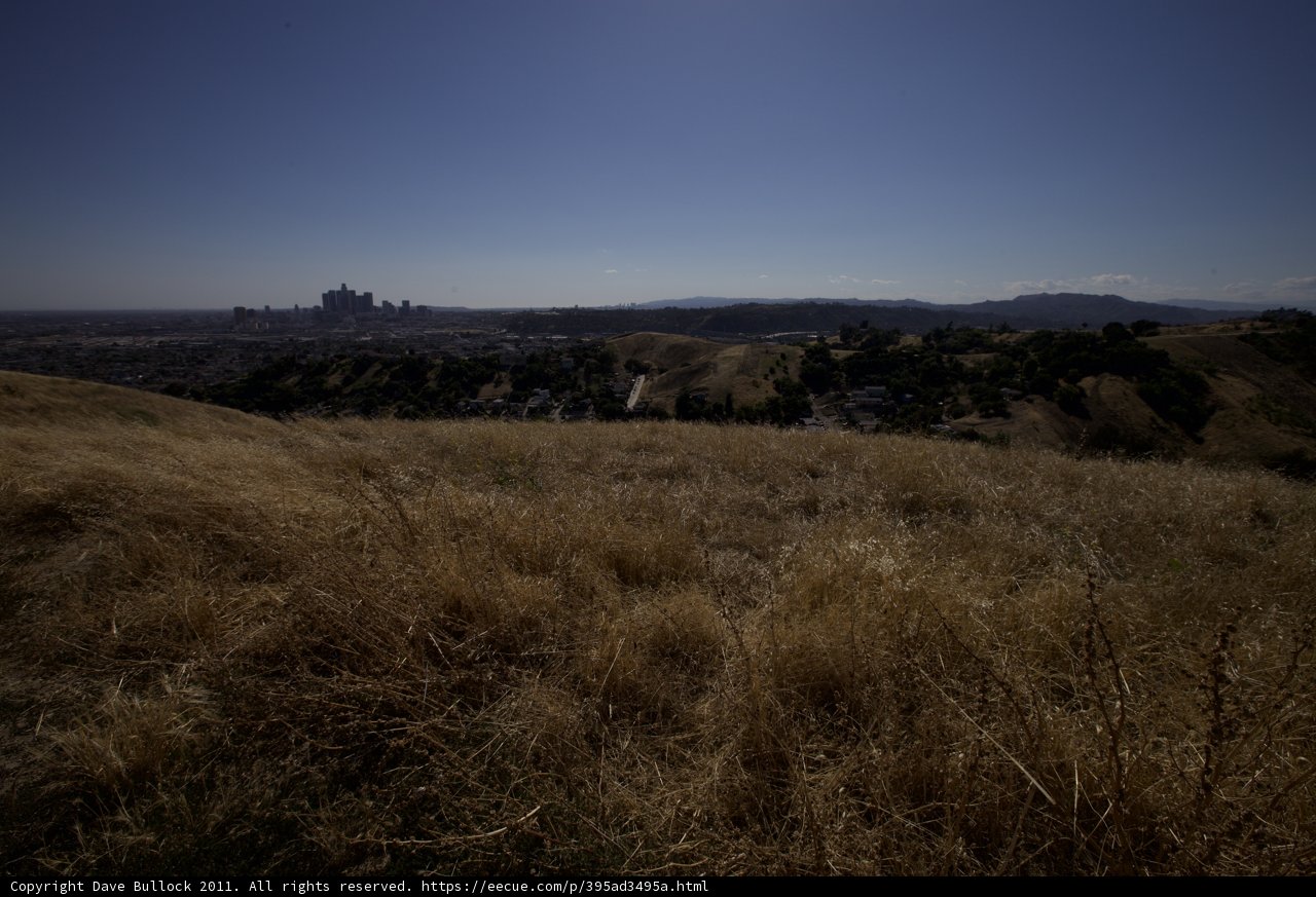 A Serene View of the City from the Hillside