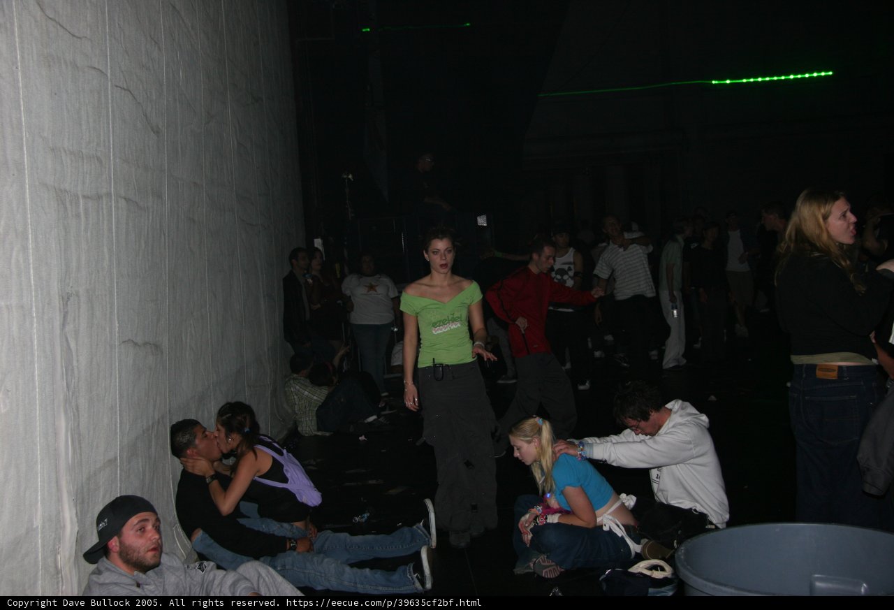 Urban Nightlife Gathering