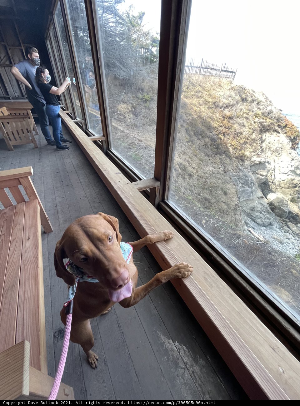 Ocean View Companion