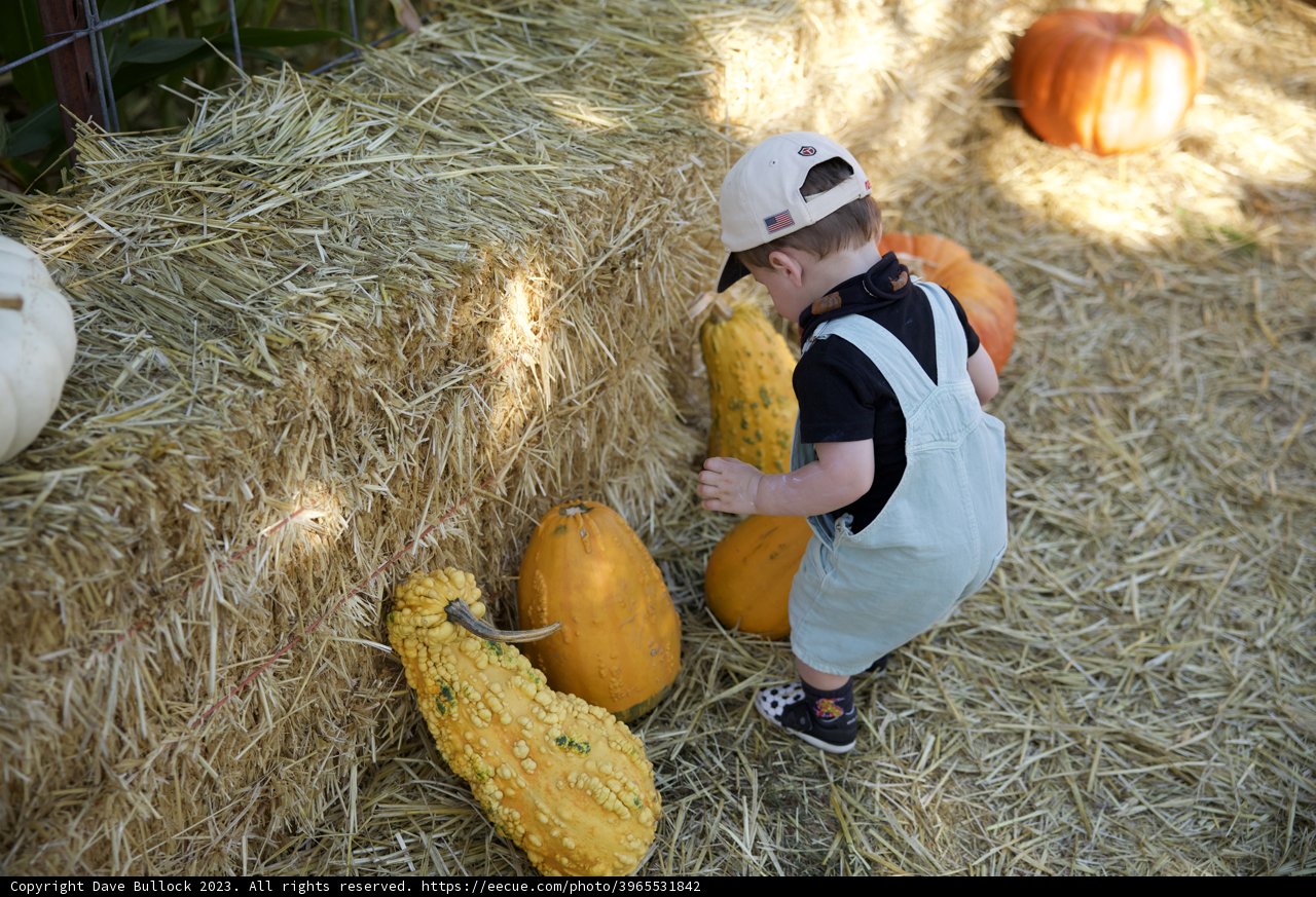 Harvest Time Adventure with Wesley 2023