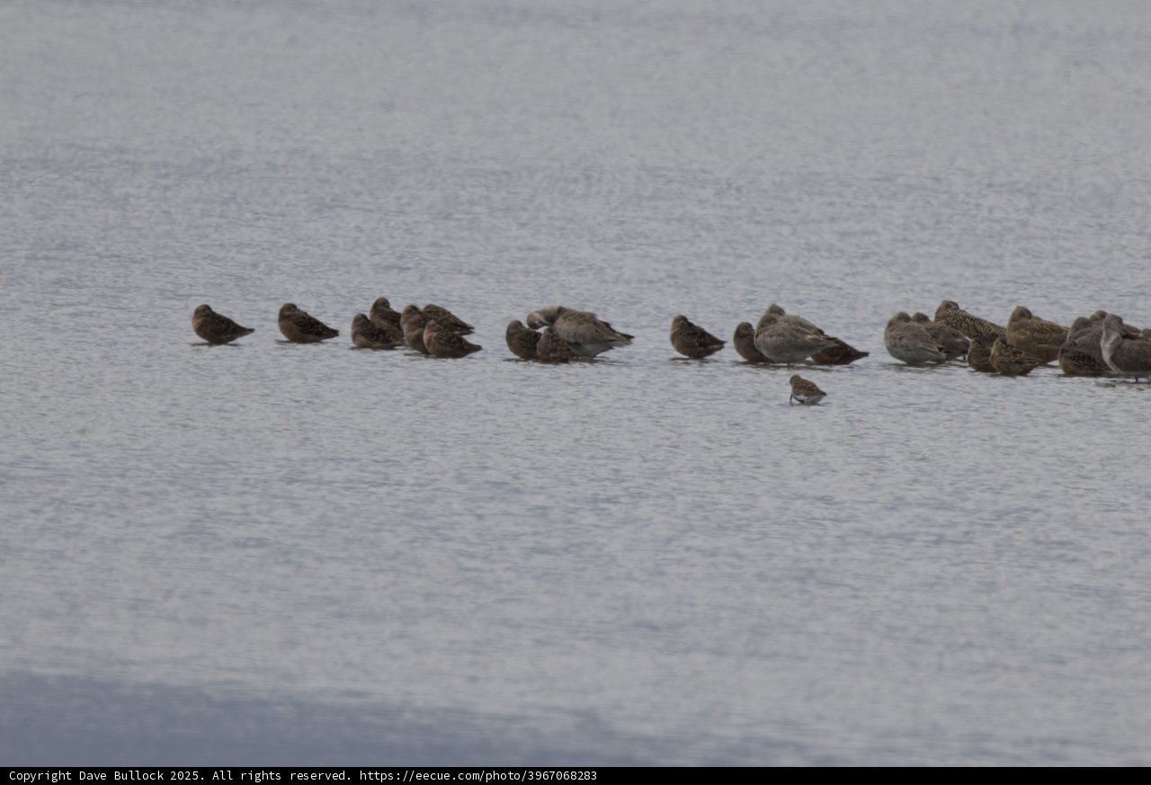 Tranquil Gatherings at San Pablo Bay