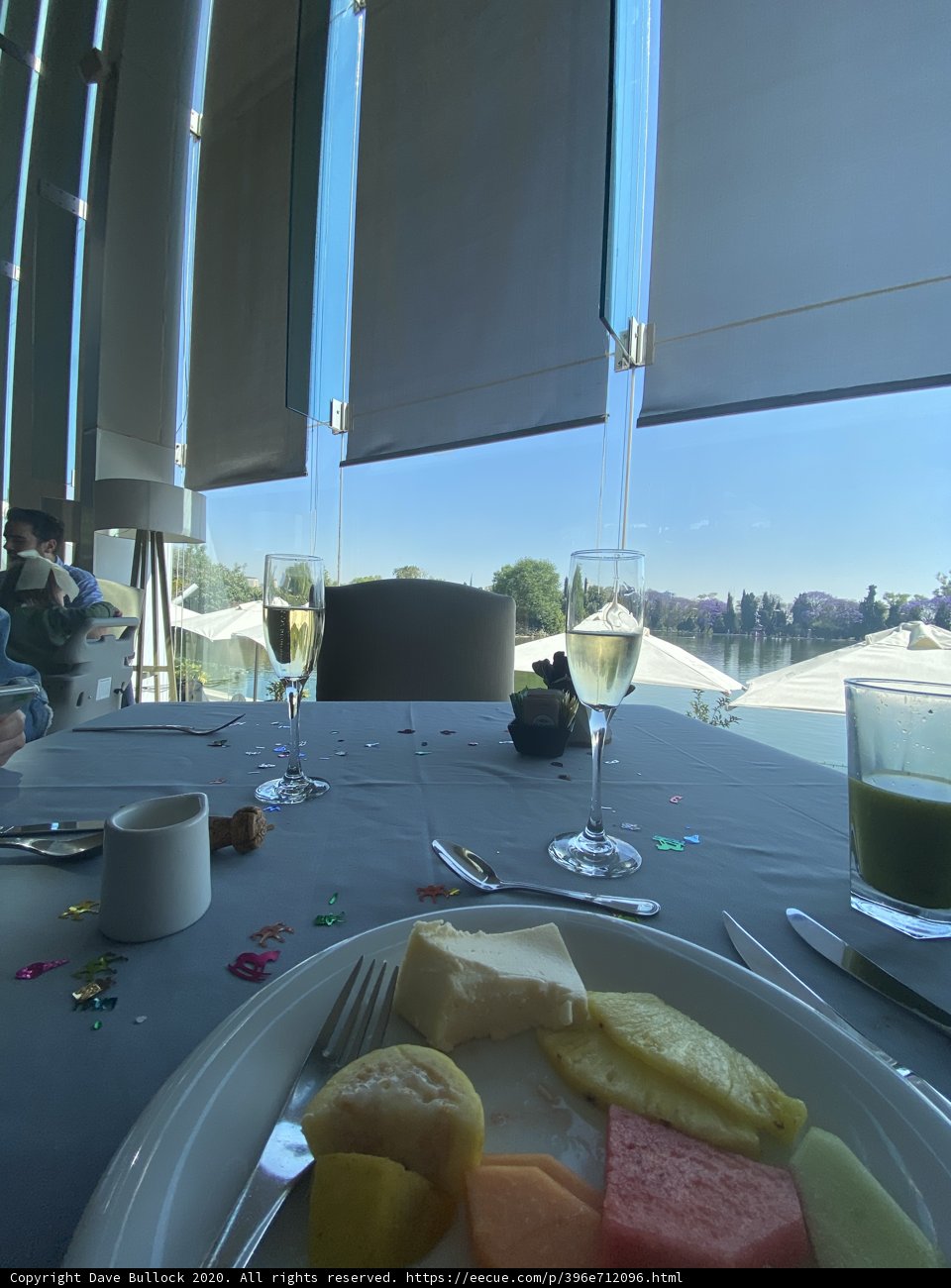 An Outdoor Meal in Chapultepec Park