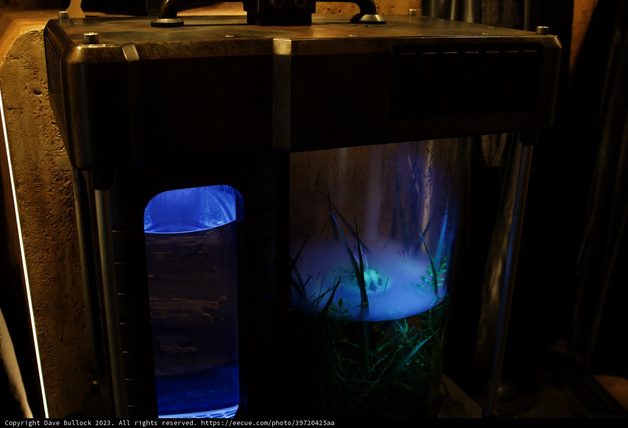 Aquatic Life in a Glass Container