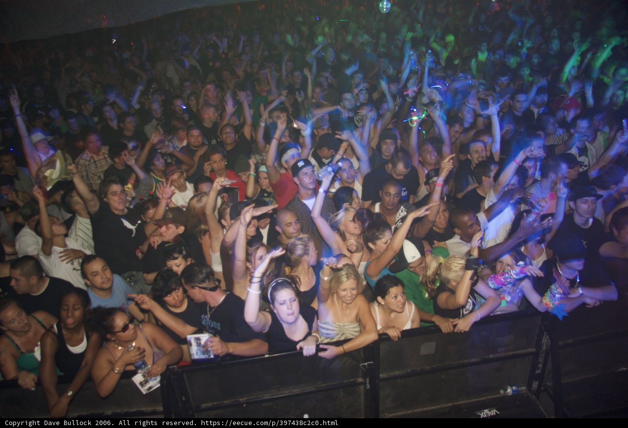 Raving with the Crowd
