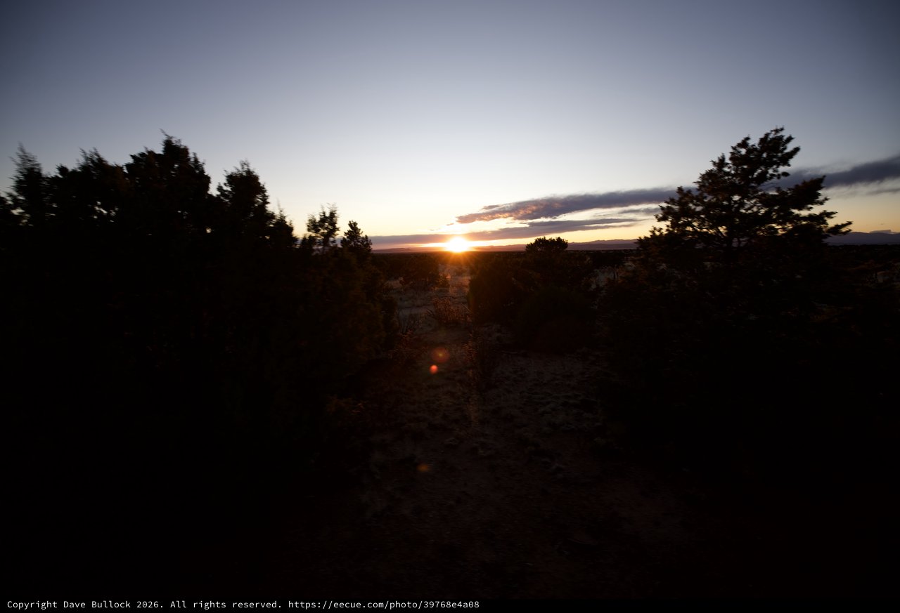 Sunset Path Through Desert Scrubland at Twilight