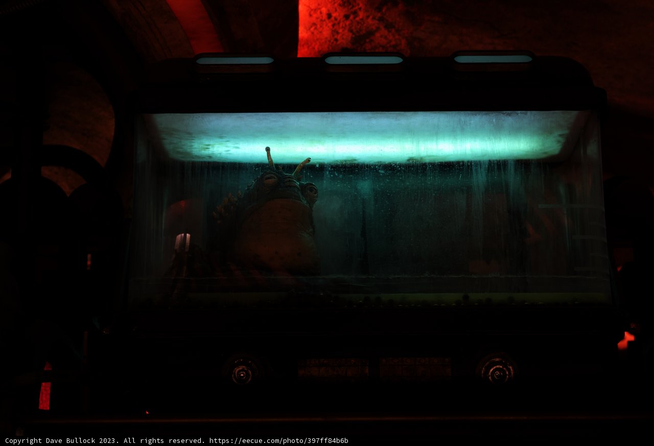 Green Light on Fish Tank