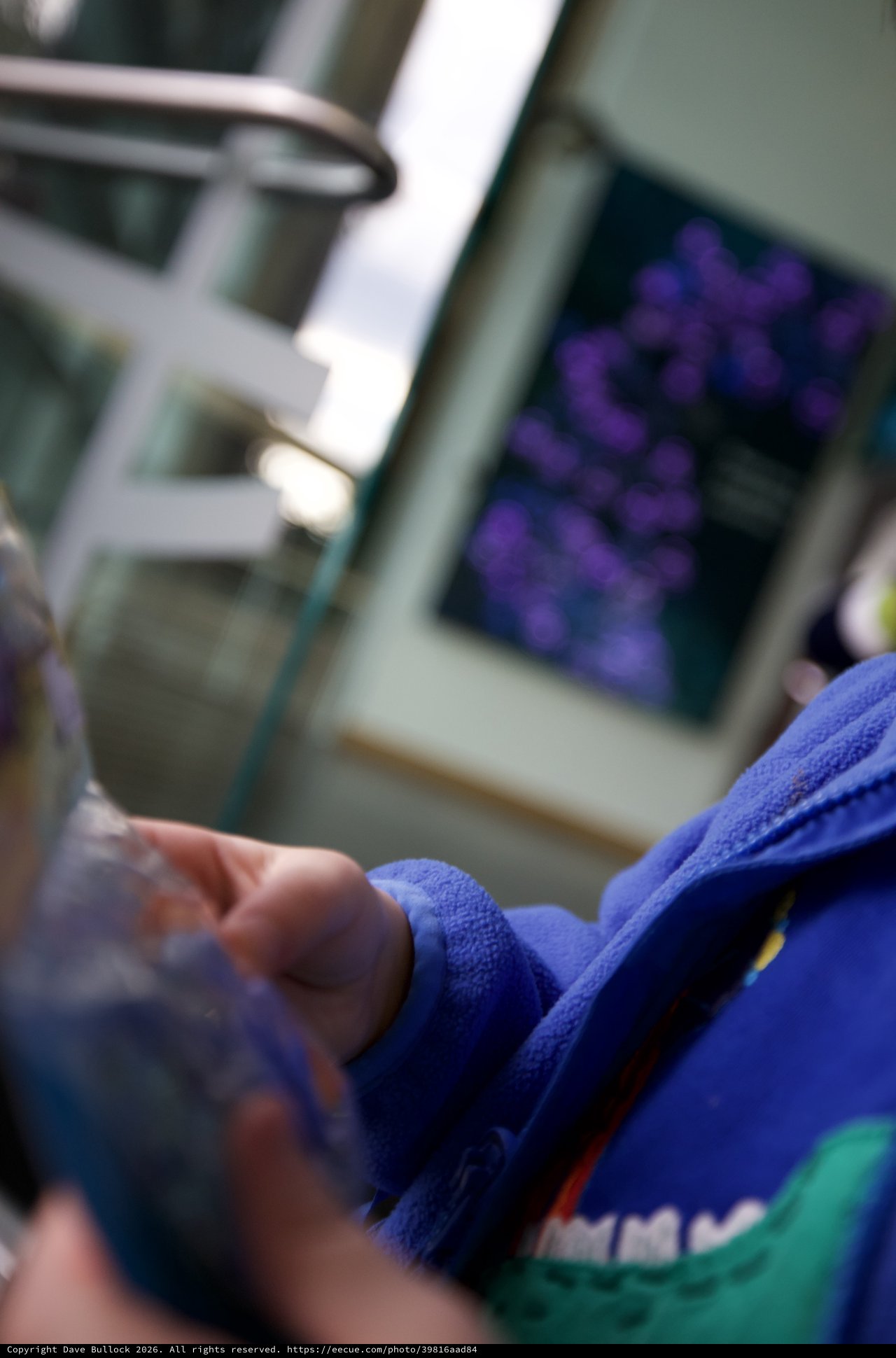 Child in Blue Robe Viewing Purple Science Display