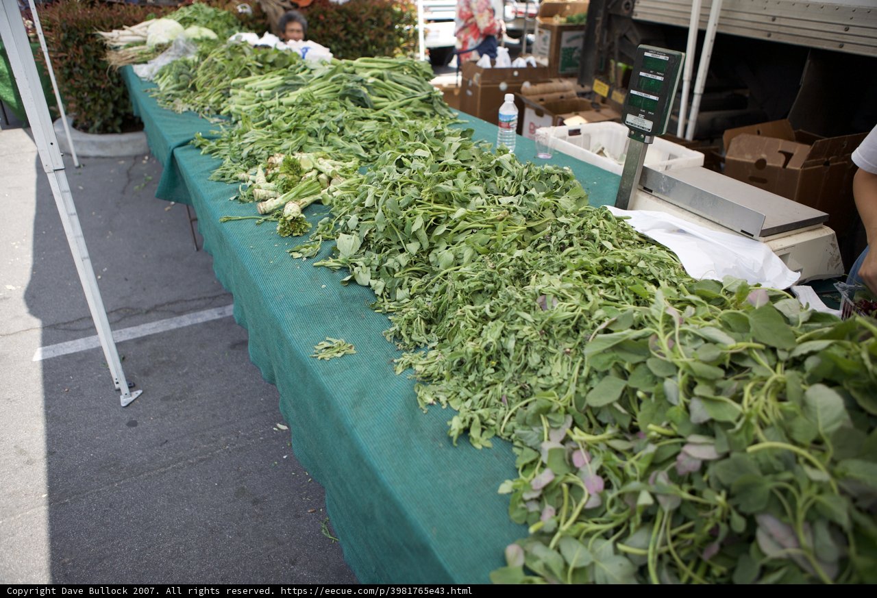 A Leafy Green Feast