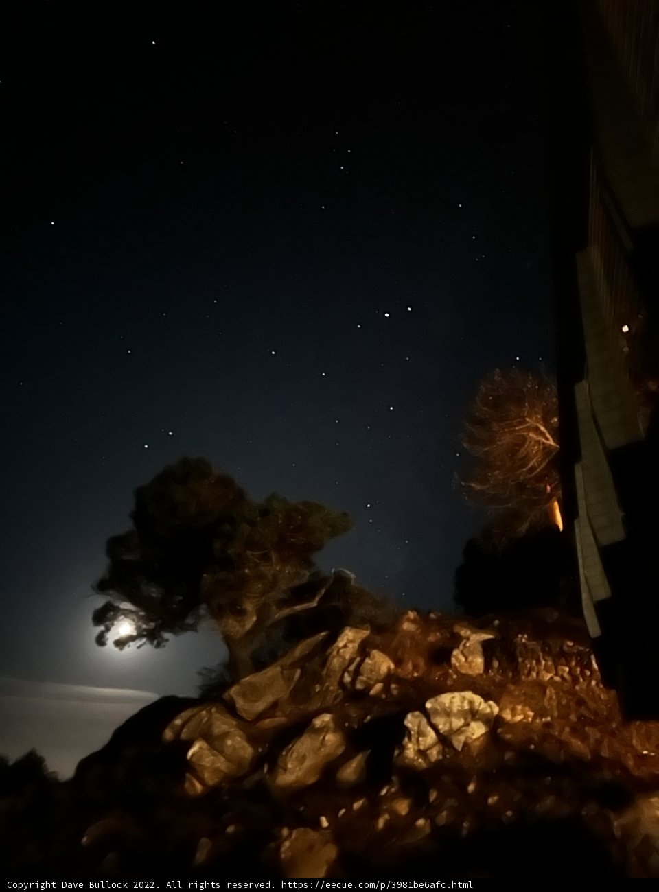 Moonlit Serenity