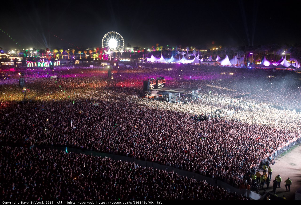 Concert Under the Night Sky