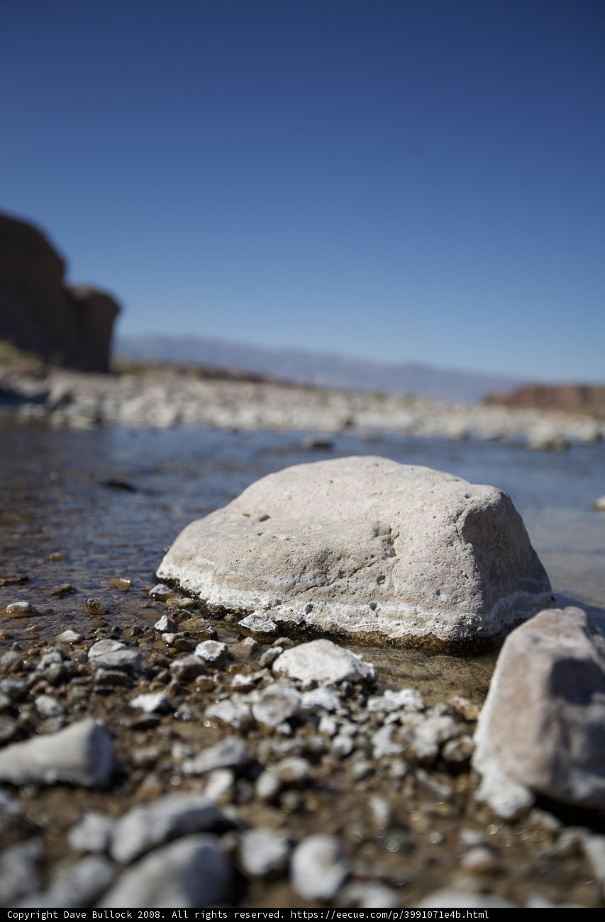 Solitude on the Shore