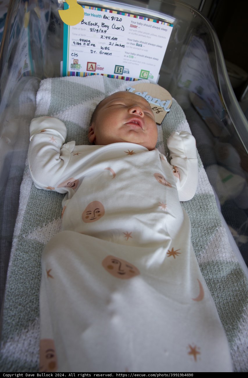 Welcome to the World, Leland