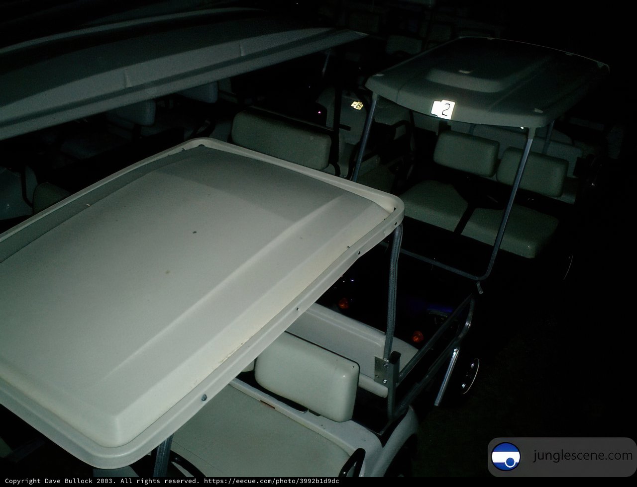 Night Ride on a White Golf Cart