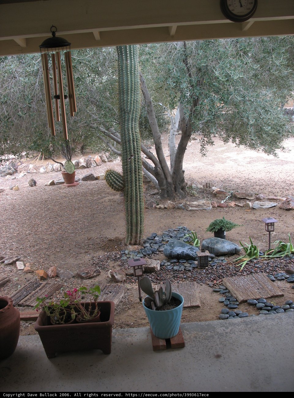A Desert Oasis in the Garden
