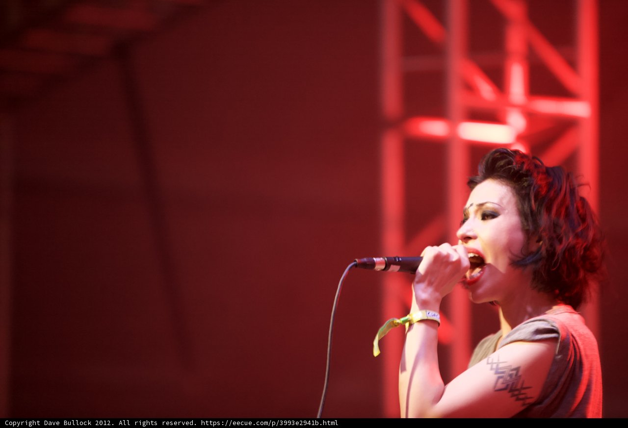 Bold Singer with Tattoos Rocking the Concert