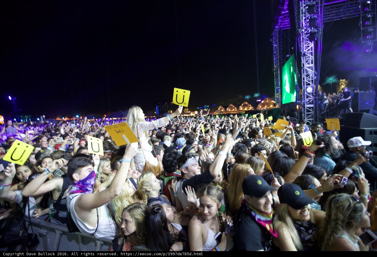 Music Festival Madness