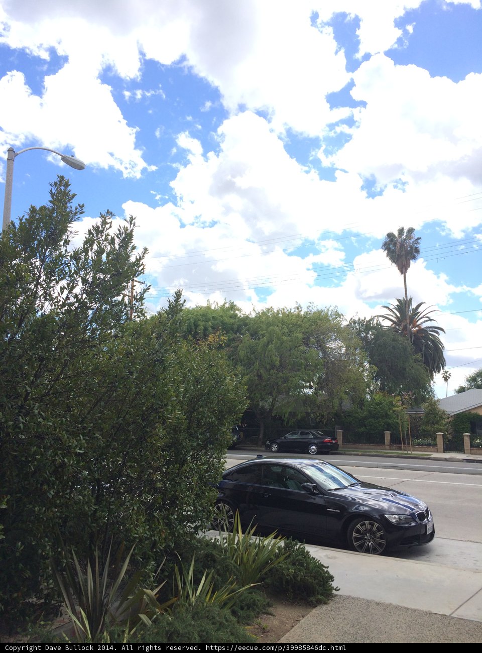 Parked Coupe Car with Palm Trees