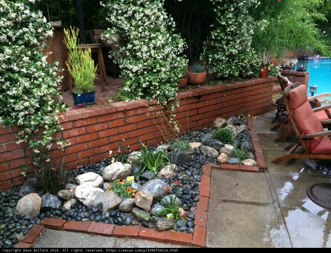Serene backyard oasis