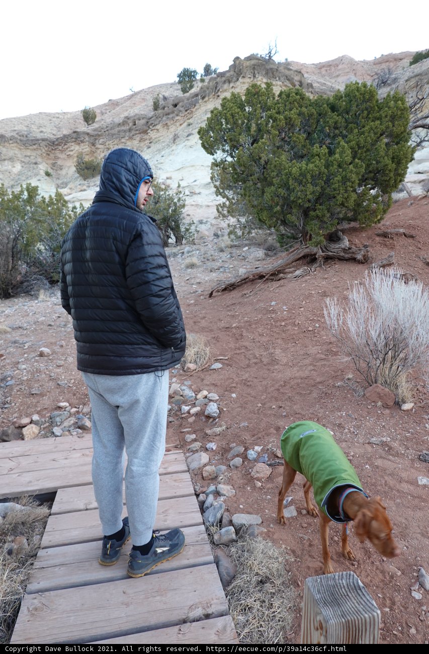 A Man and His Canine Companion on a Wooden Walkway