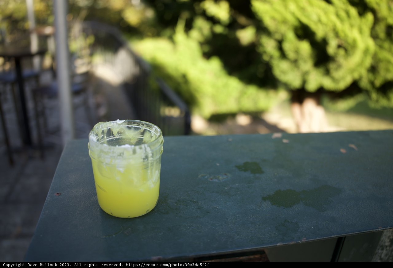 Zesty Afternoon Refreshment at SF Zoo, November 2023