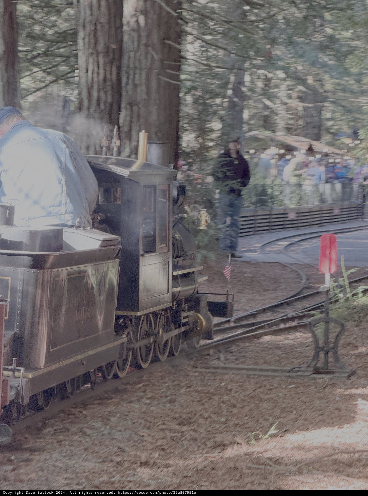 Vintage Steam Locomotive Through Forest Railway