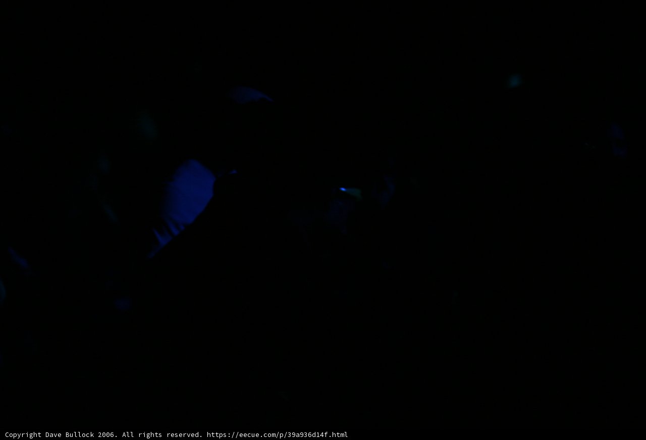 Blue Night Silhouette