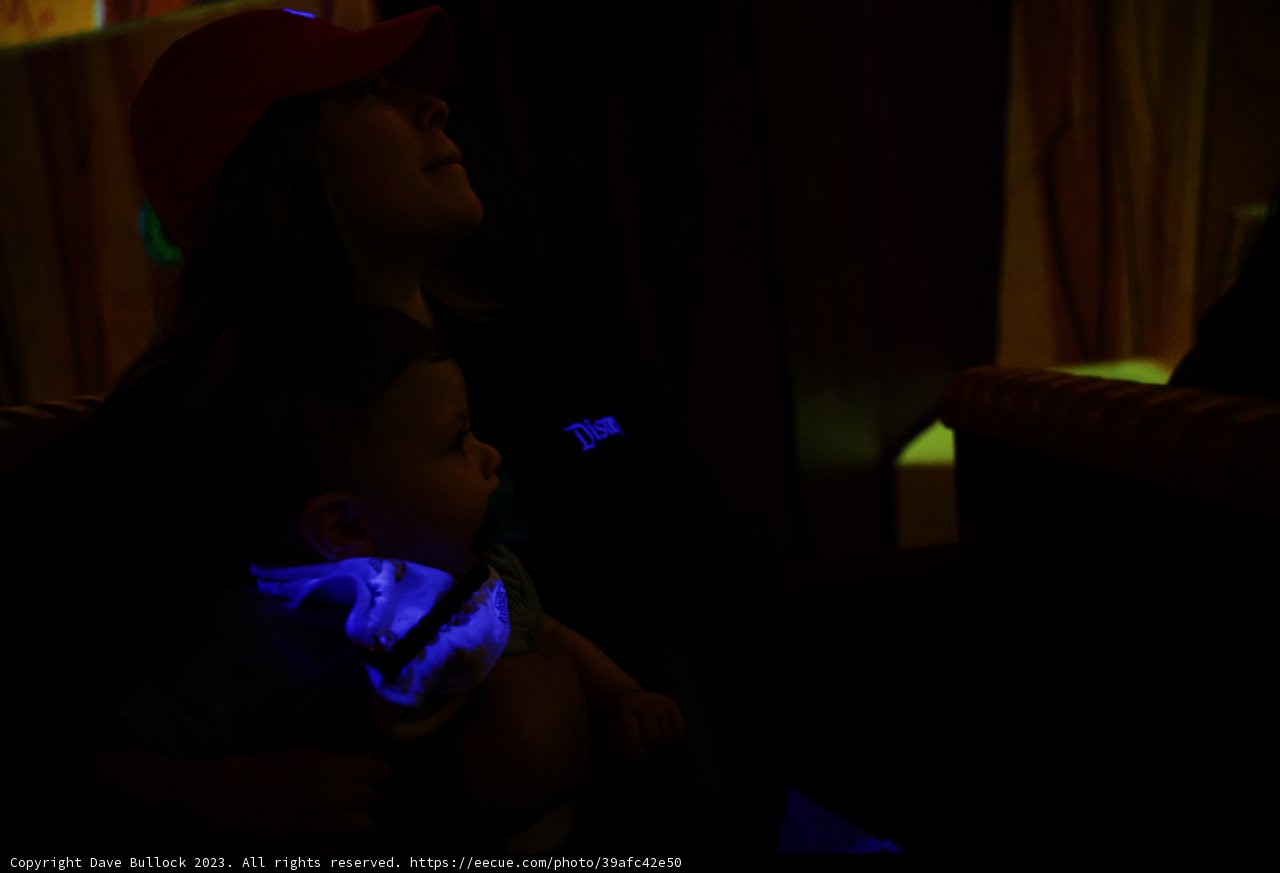Cherished Moments at Disneyland