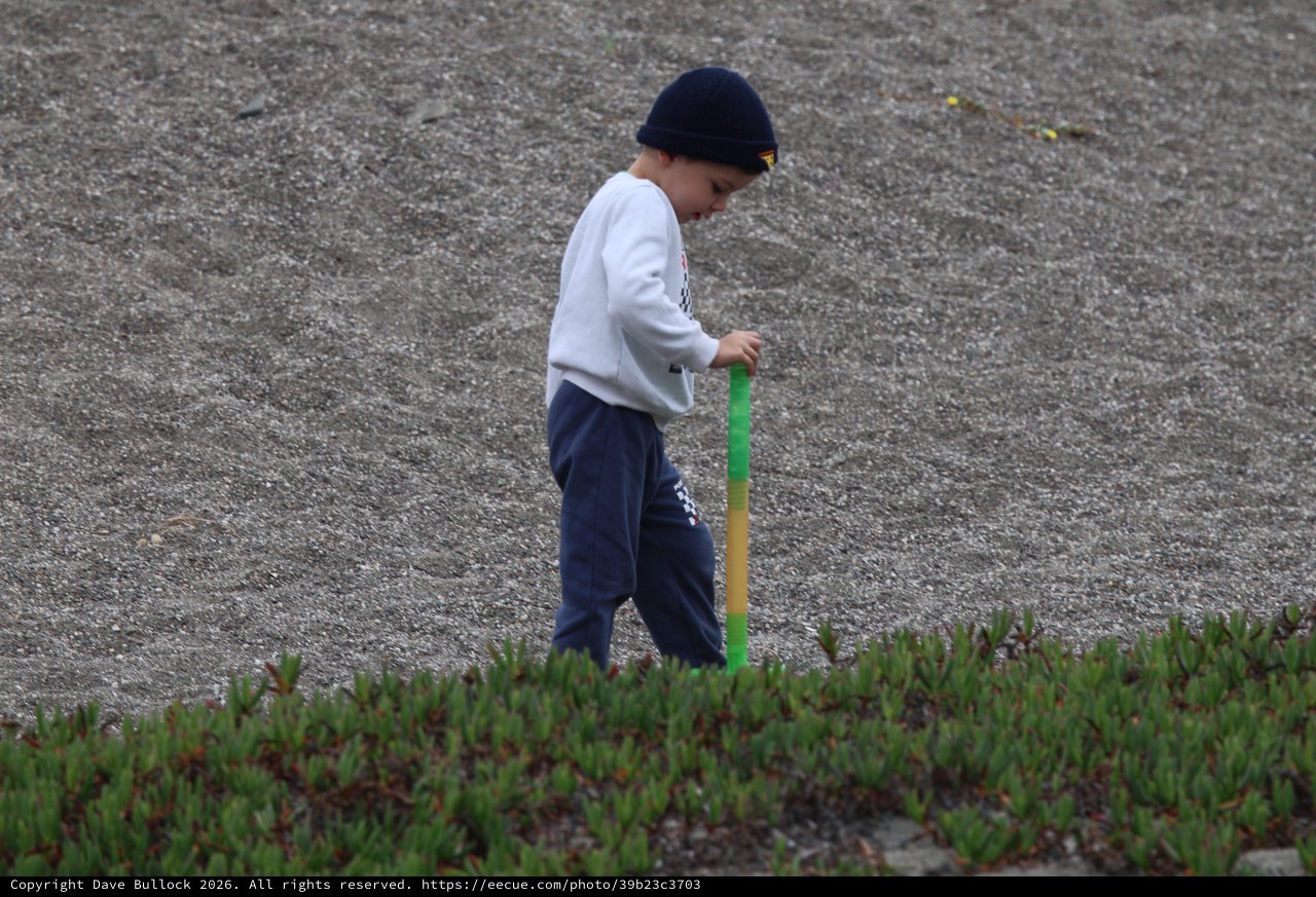 Young Boy Explores Rocky Beach with Stick
