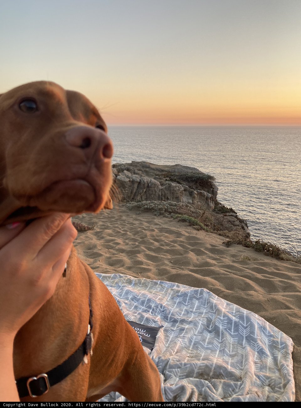 Serenity by the Shoreline