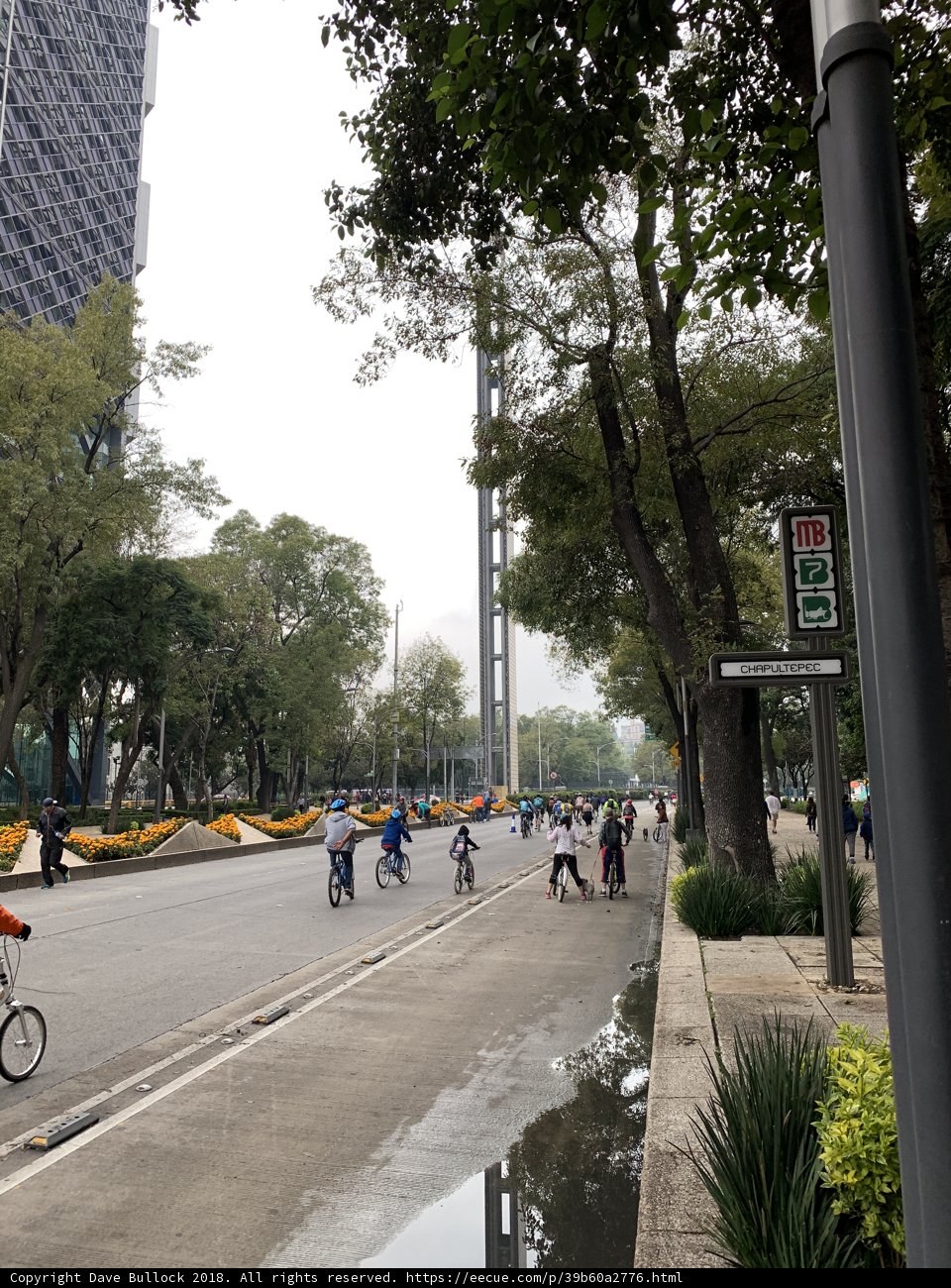 Urban Cycling
