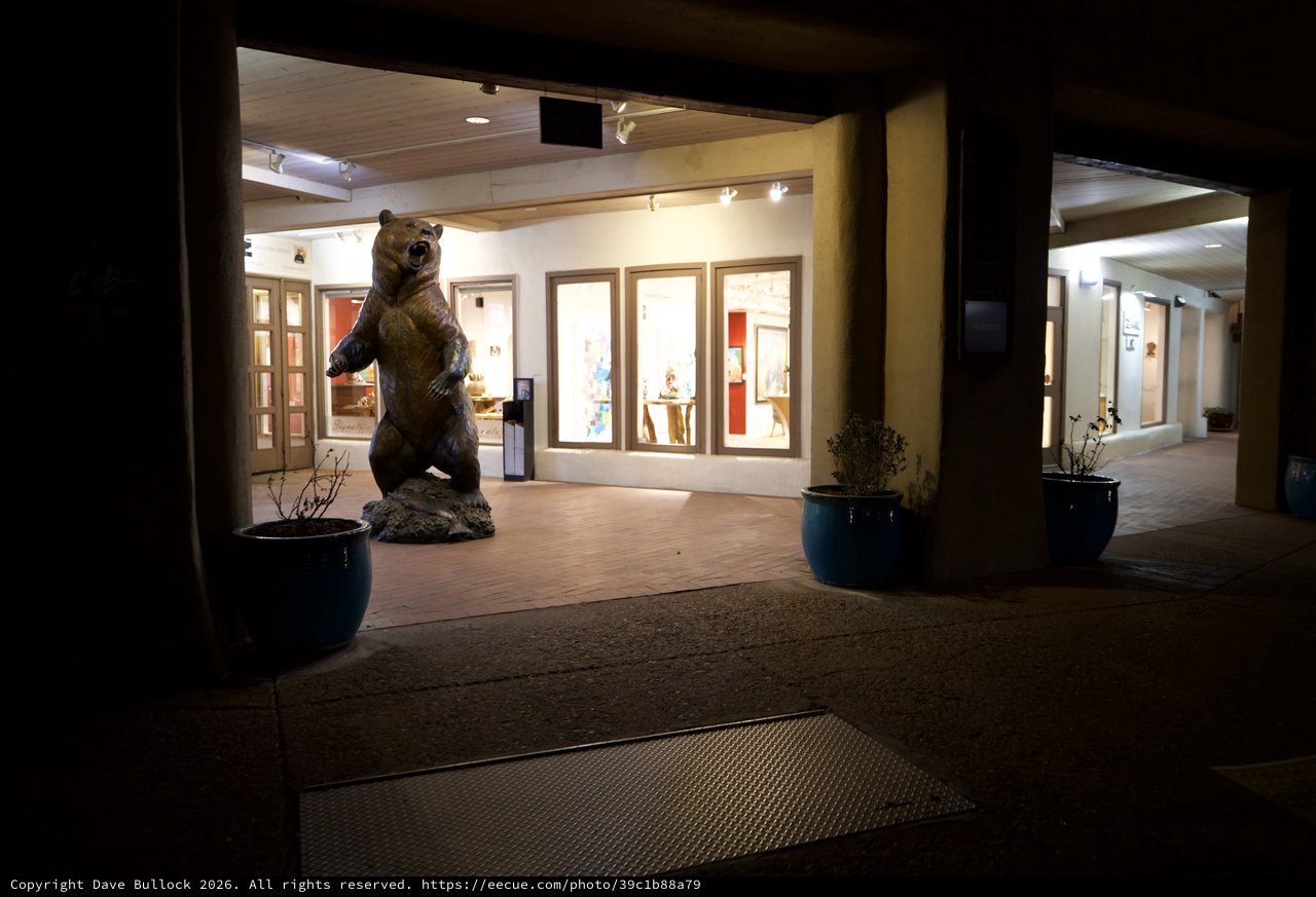 Night View of Art Gallery with Bear Sculpture
