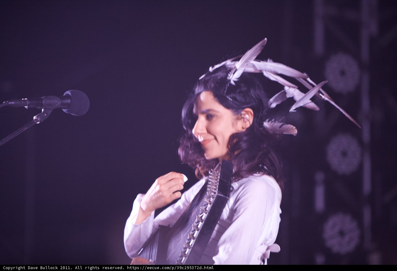 Feathered Songstress