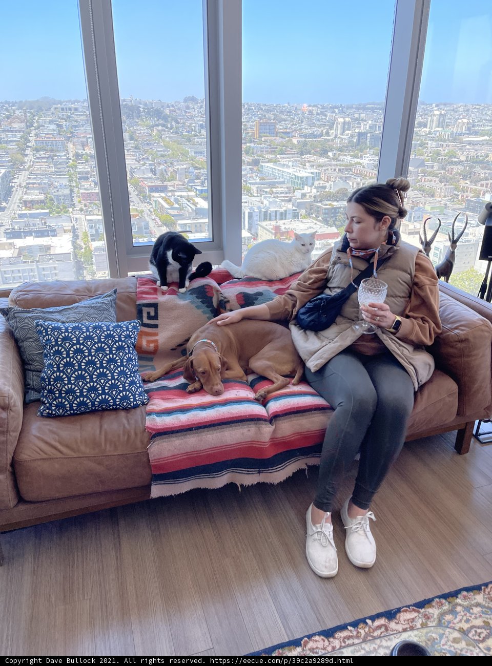 Cozy Afternoon with Furry Friends