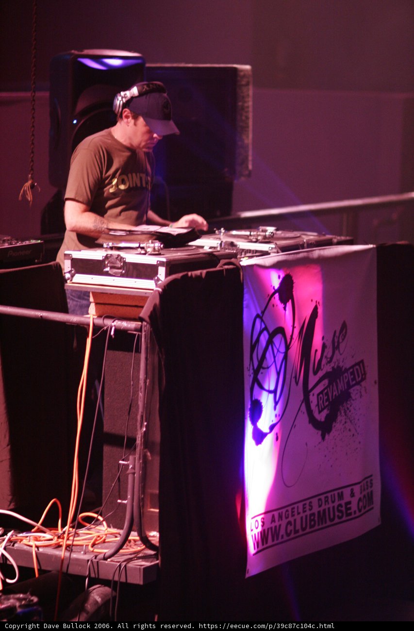 The Musical Entertainer