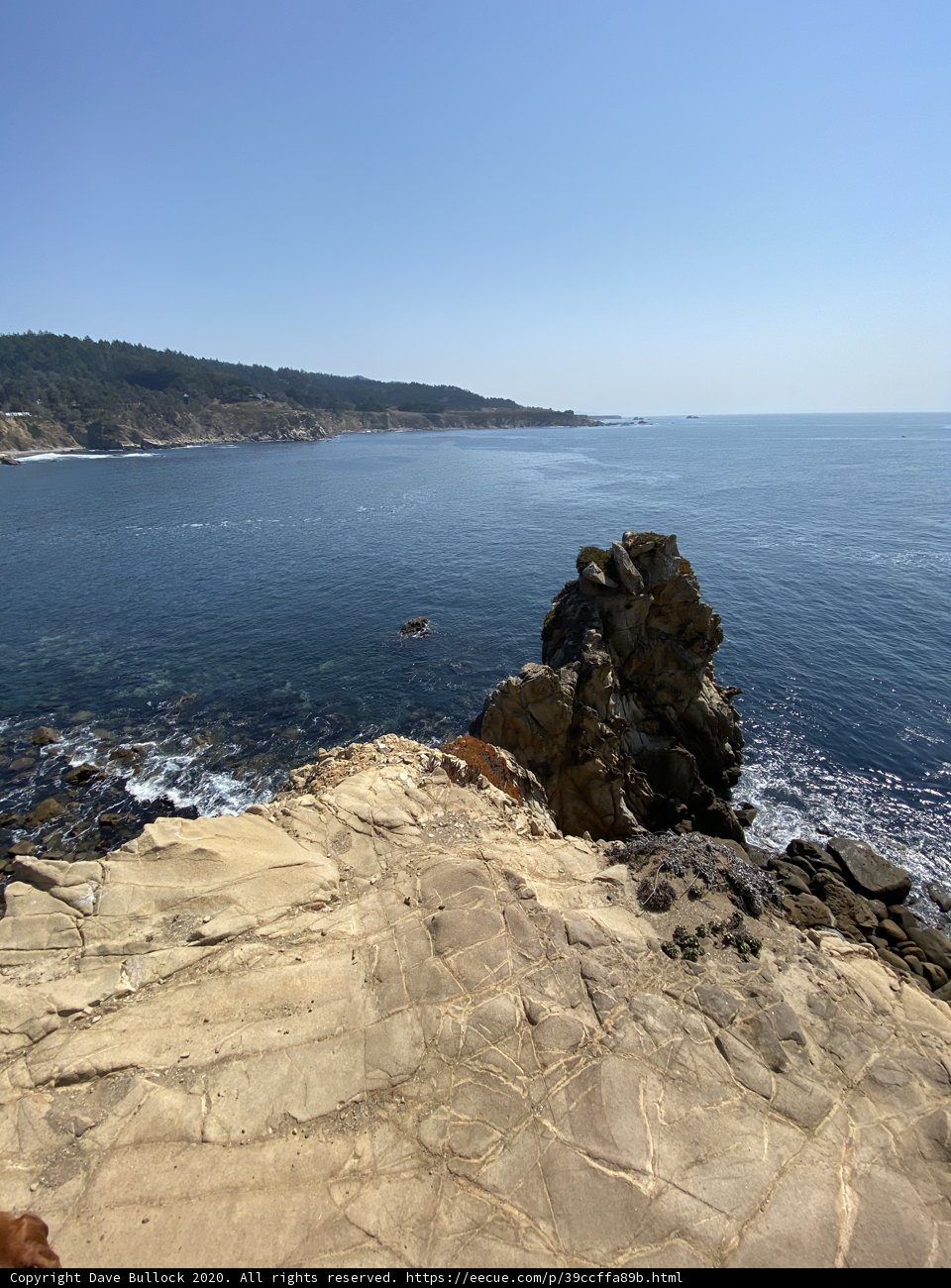 A Serene View of the Pacific Coastline