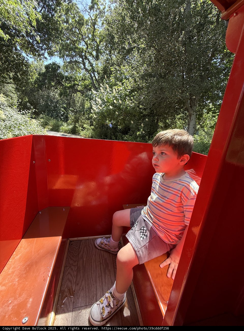 Adventures in the Park