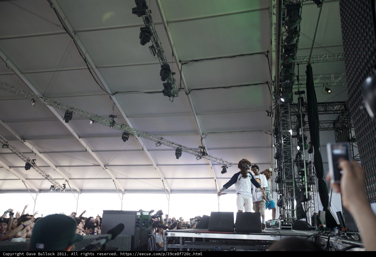 Crowd Goes Wild for Jonathan Zittrain's Coachella Performance