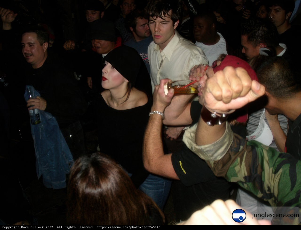 Partygoers Enjoying Nightlife with Beer in Hand