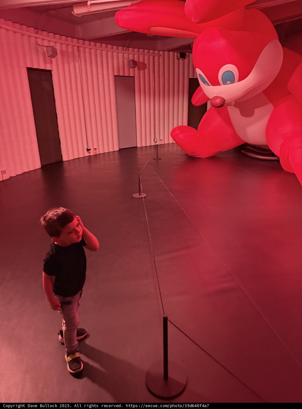 Wonderment at the Palace