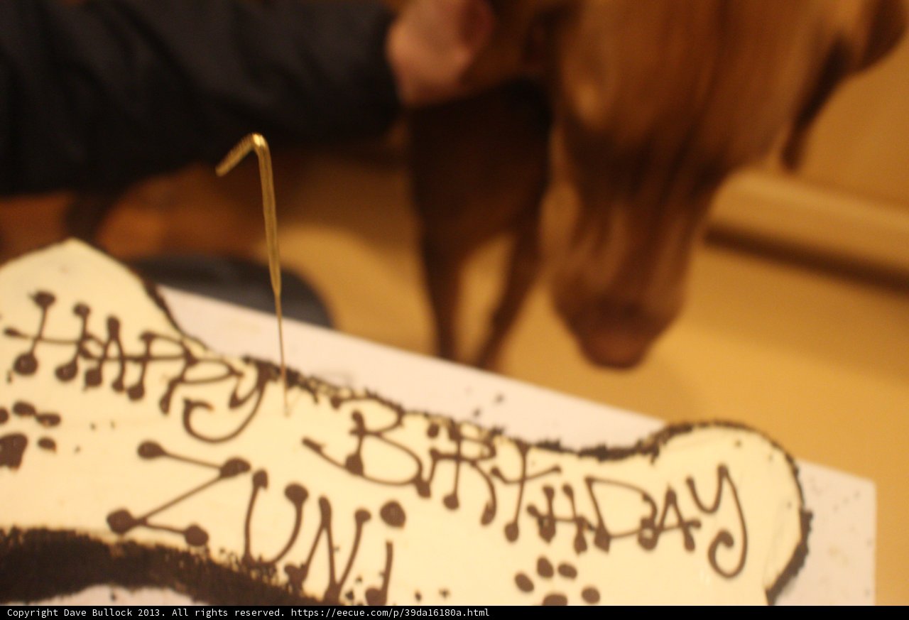 Birthday Cake Bliss