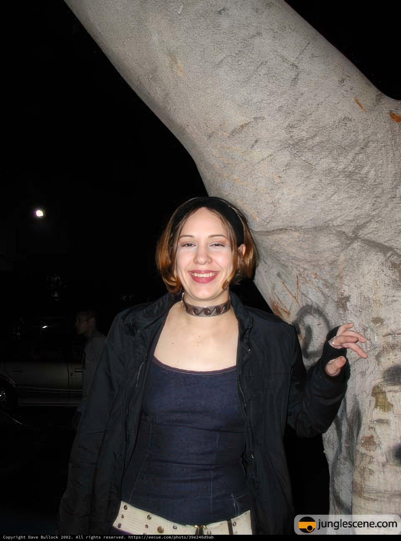 The Woman and the Tree