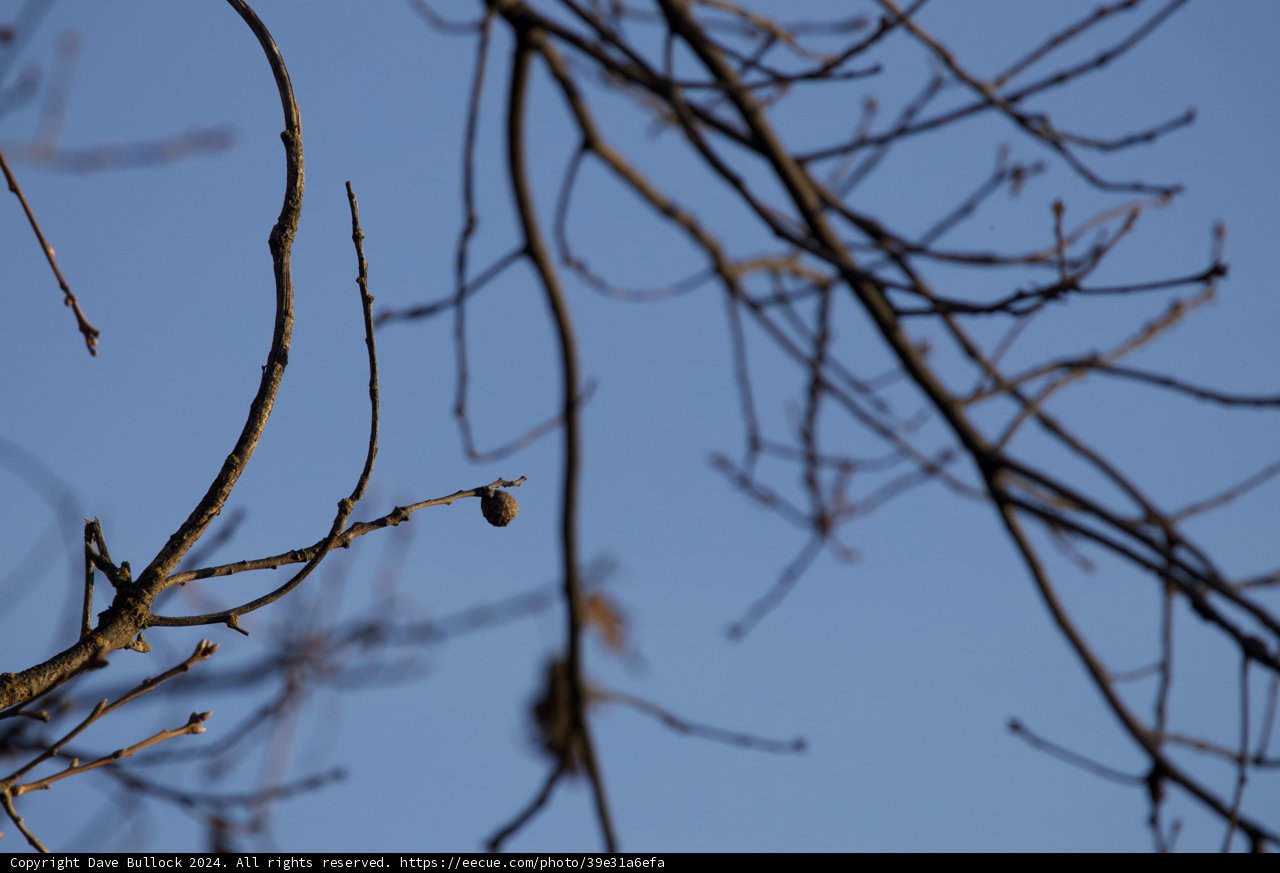 Winter's Quiet Promise